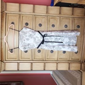 Dress Barn SZ 12P Dress